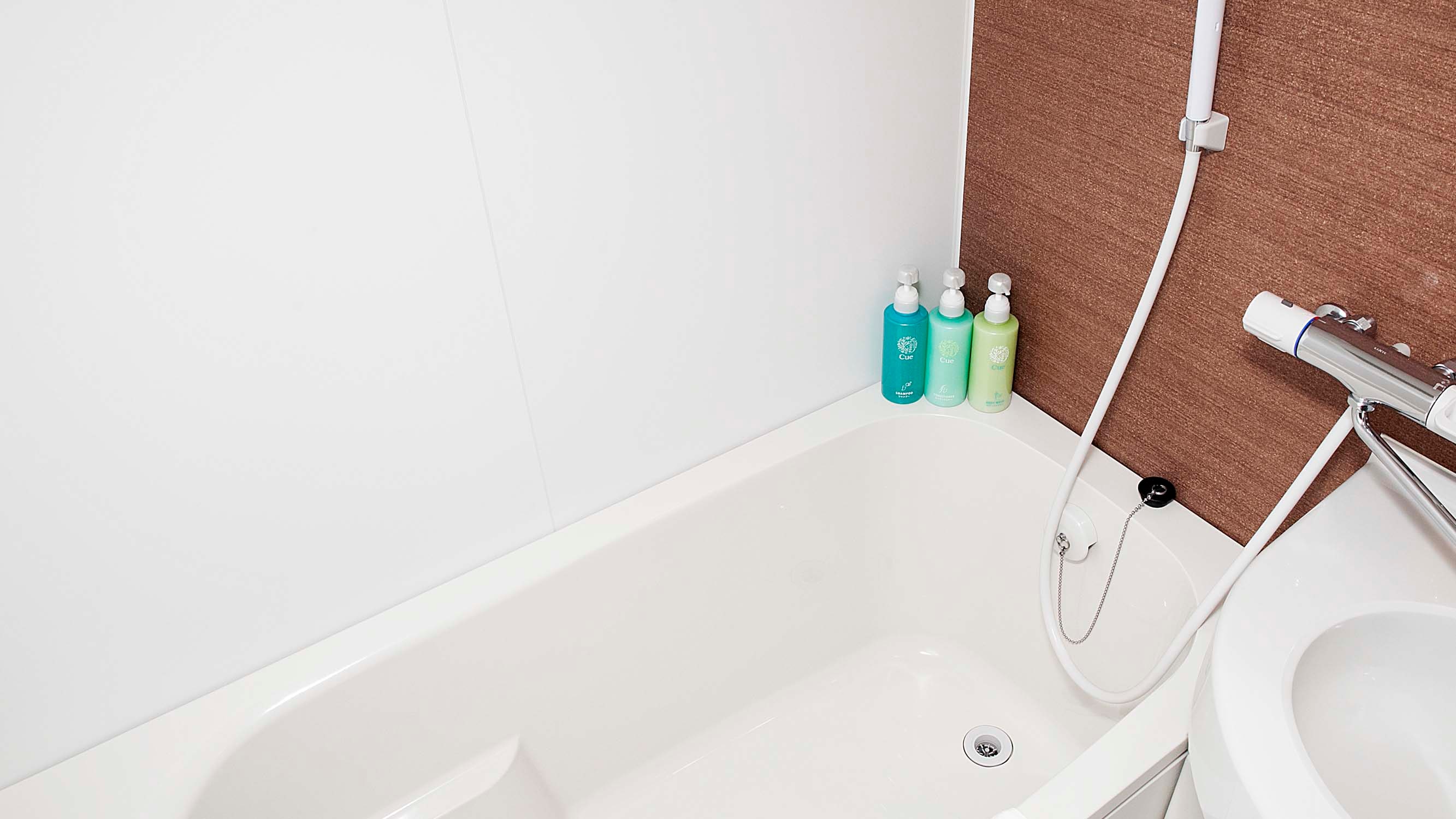 Unit bathroom (common to all rooms)