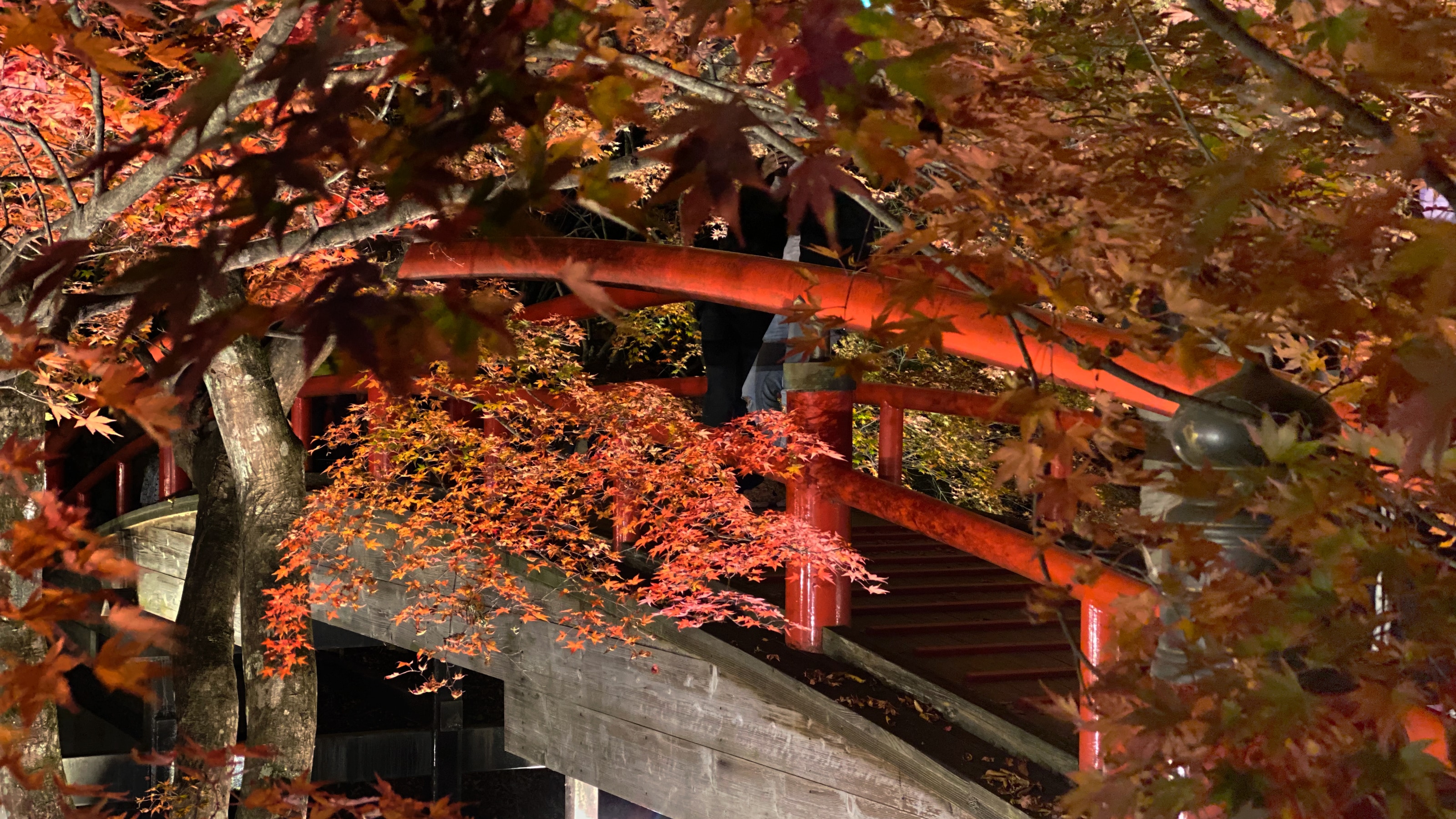 Kawaka Bridge (Autumn) [A]