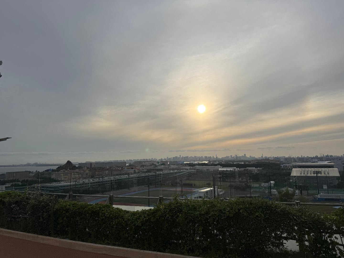 IMG_1302.jpeg