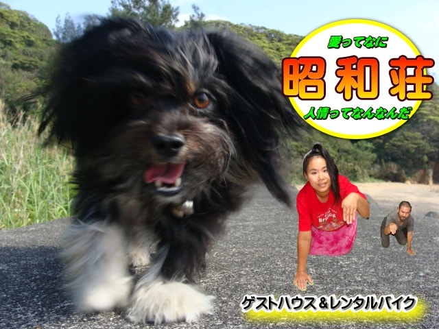 昭和莊員工