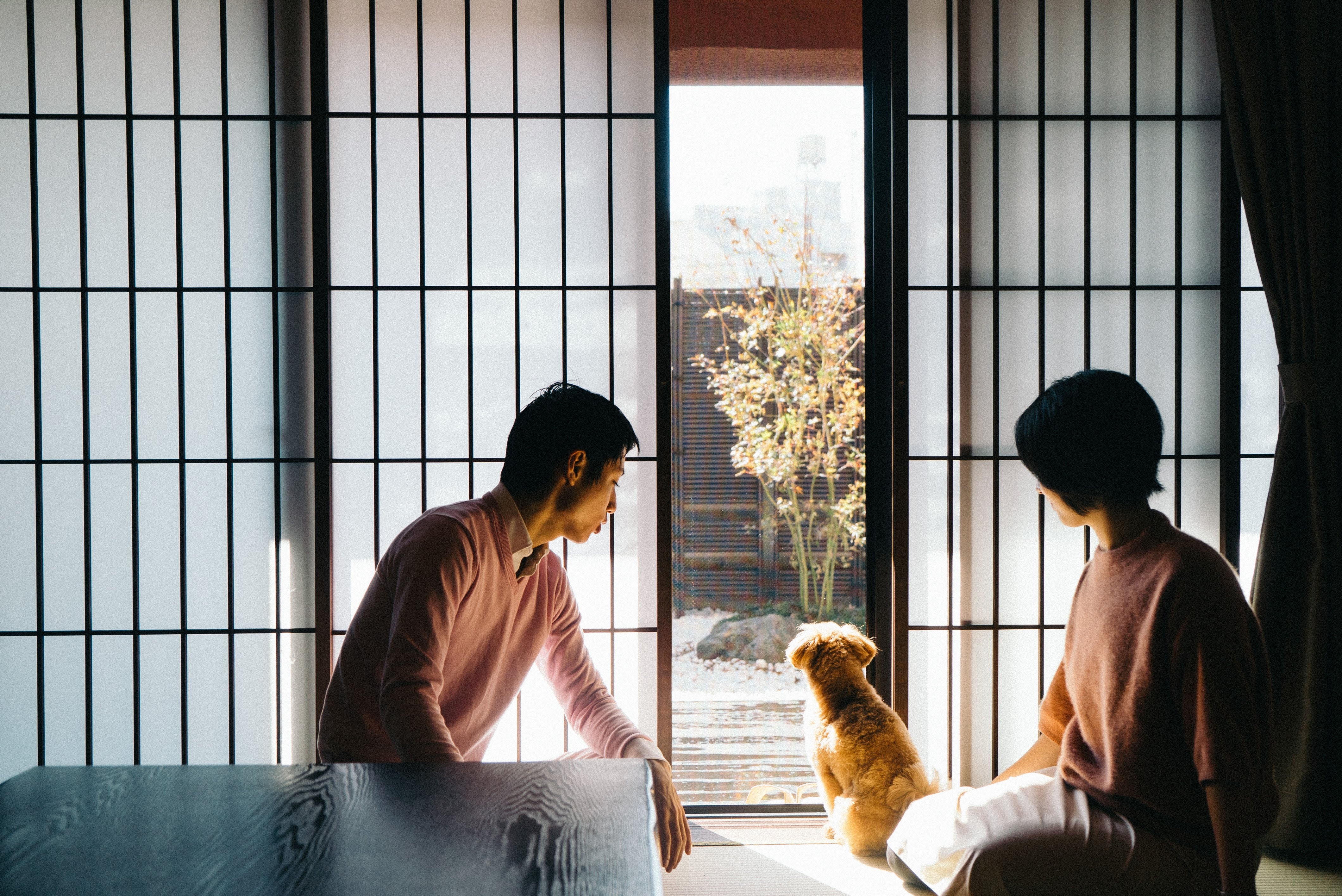 Pets welcome