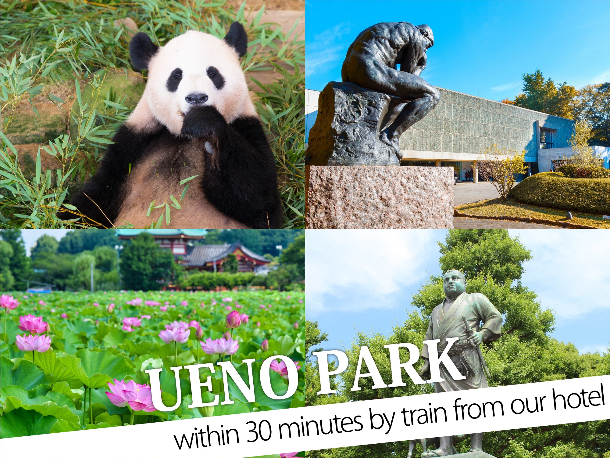 Ueno Park(우에노 공원)