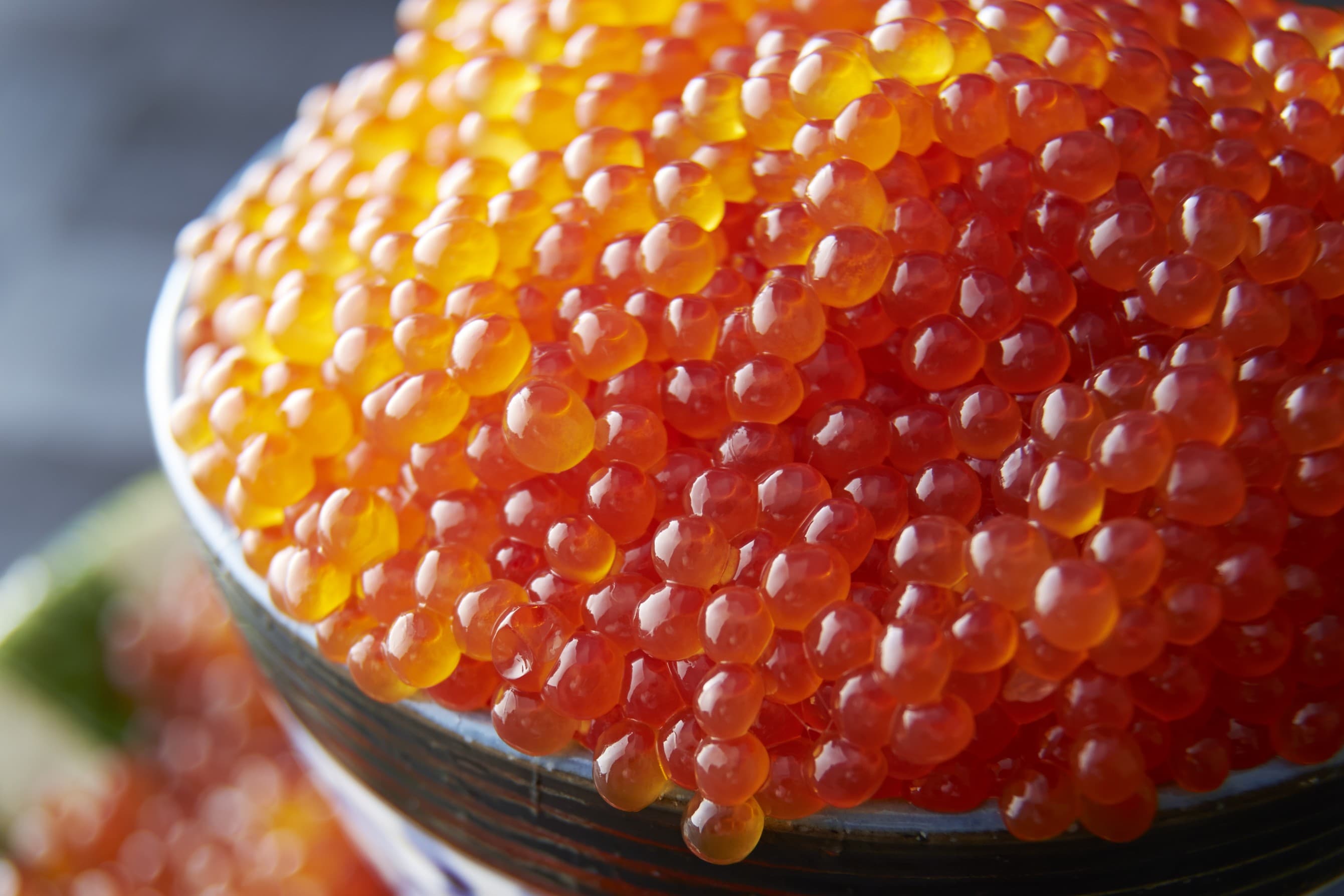 All-you-can-eat salmon roe for breakfast and dinner!