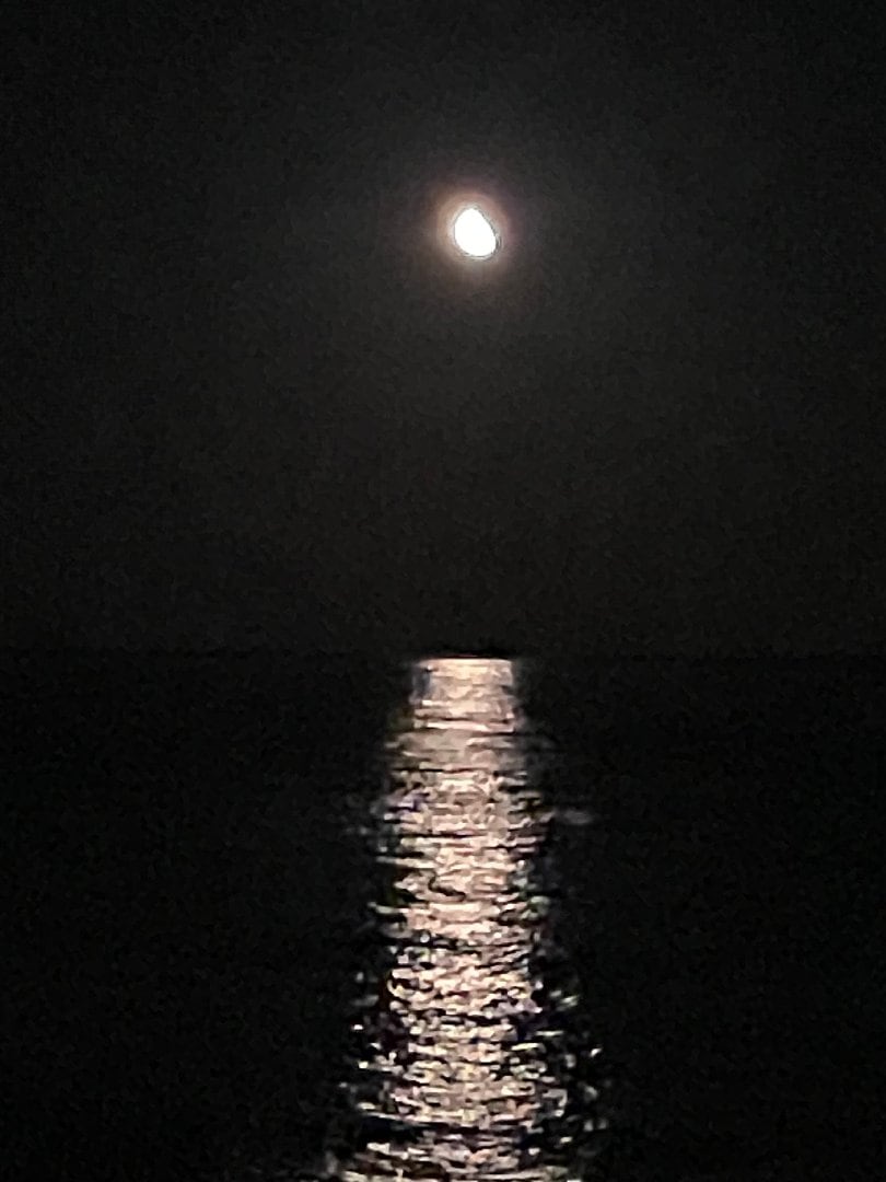 IMG_3274.jpeg