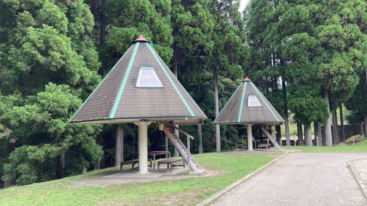 Suginko 客艙外觀