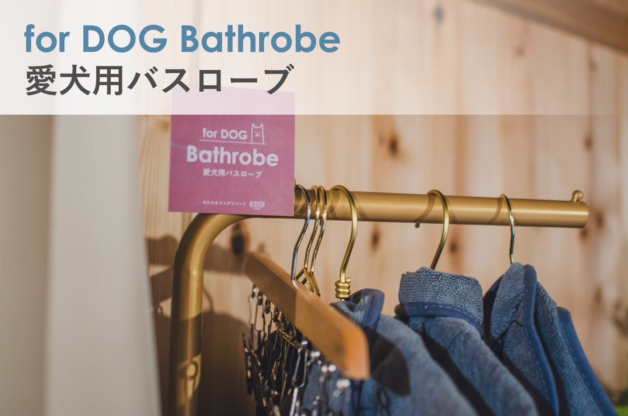 Bathrobe for your dog