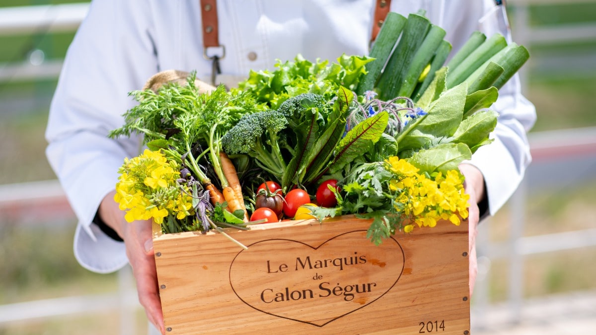 Our restaurant also uses fresh vegetables from Fukushima Prefecture!