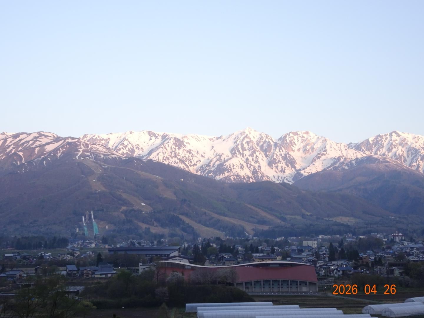 1000019191.jpg