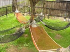 hammock