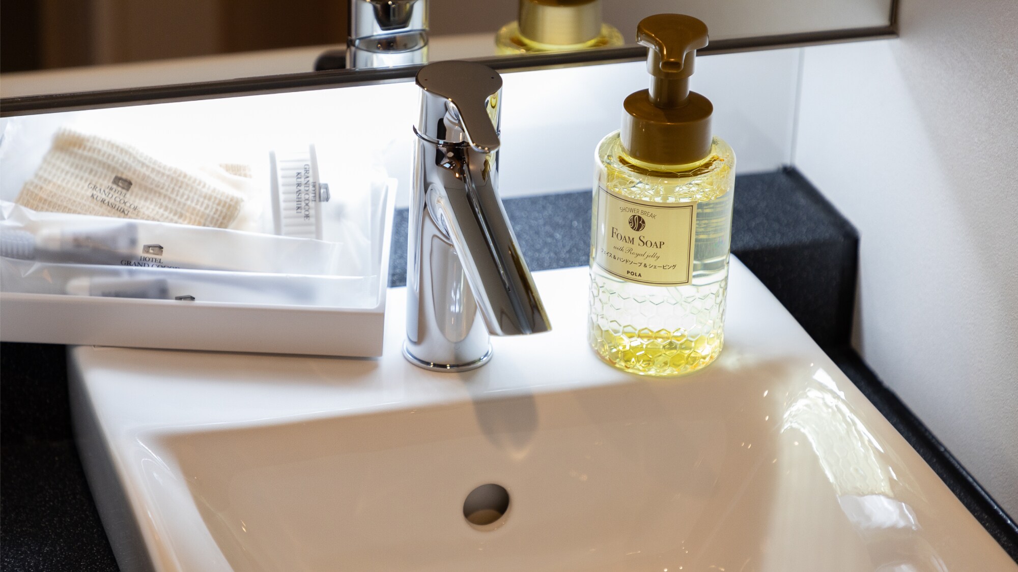 [Deluxe Twin Room (washbasin)]