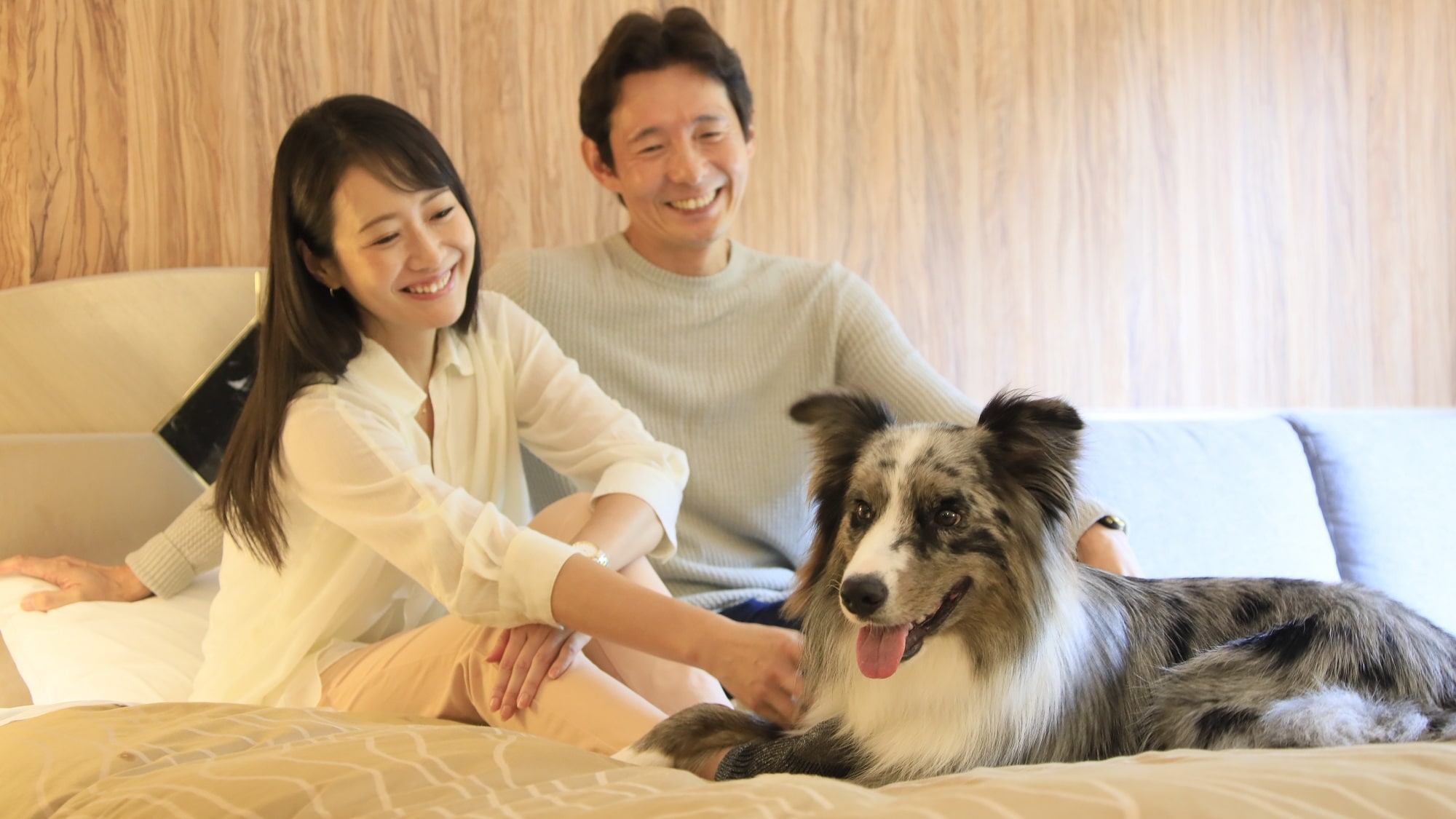 Enjoy a relaxing time with your dog*