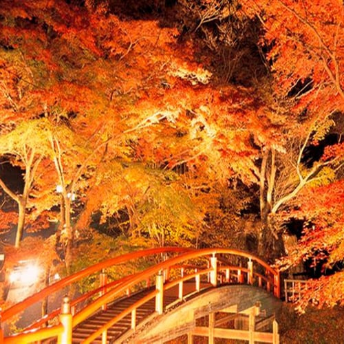 Autumn leaves at Kajika Bridge