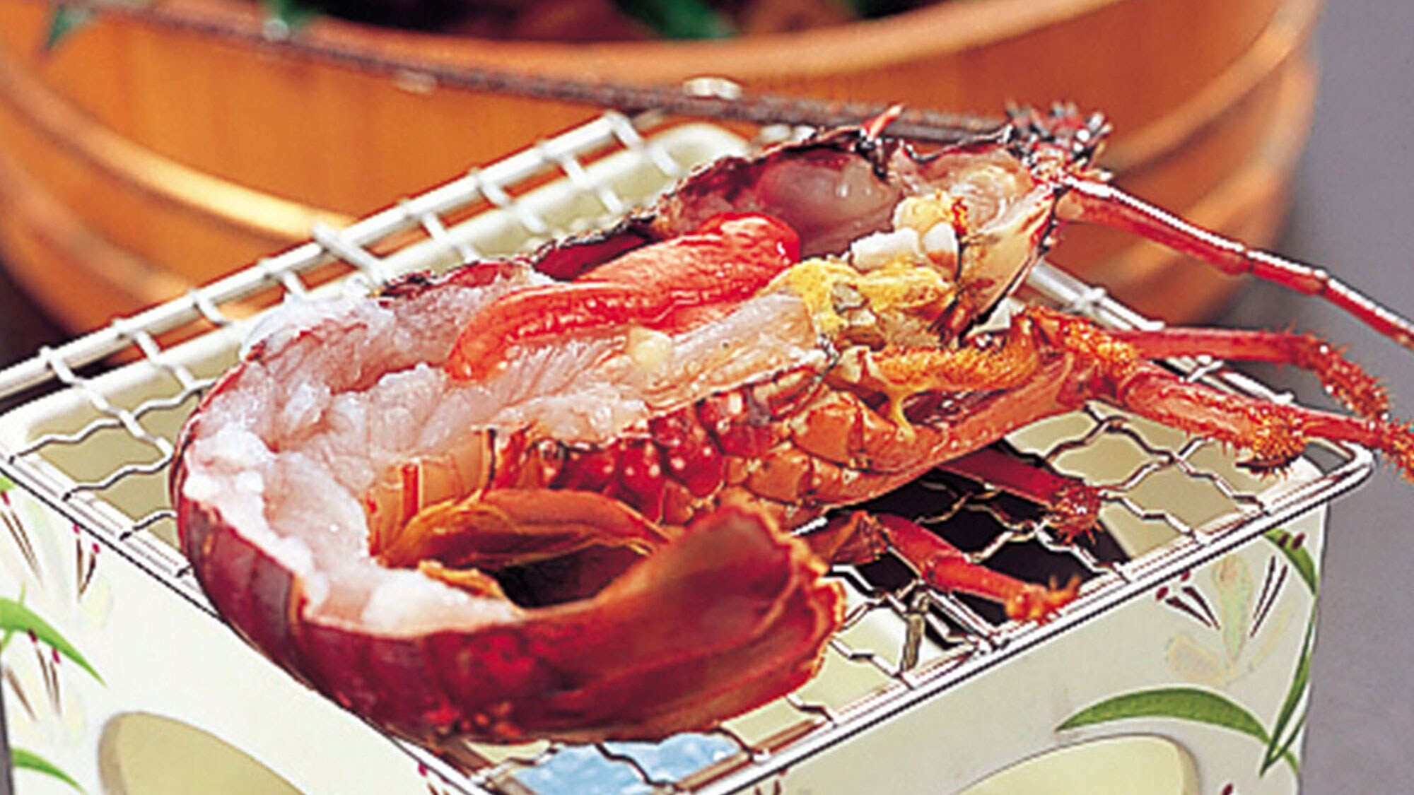 spiny lobster