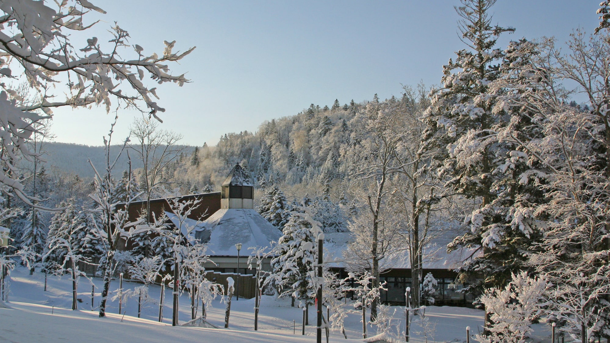 Winter Appearance