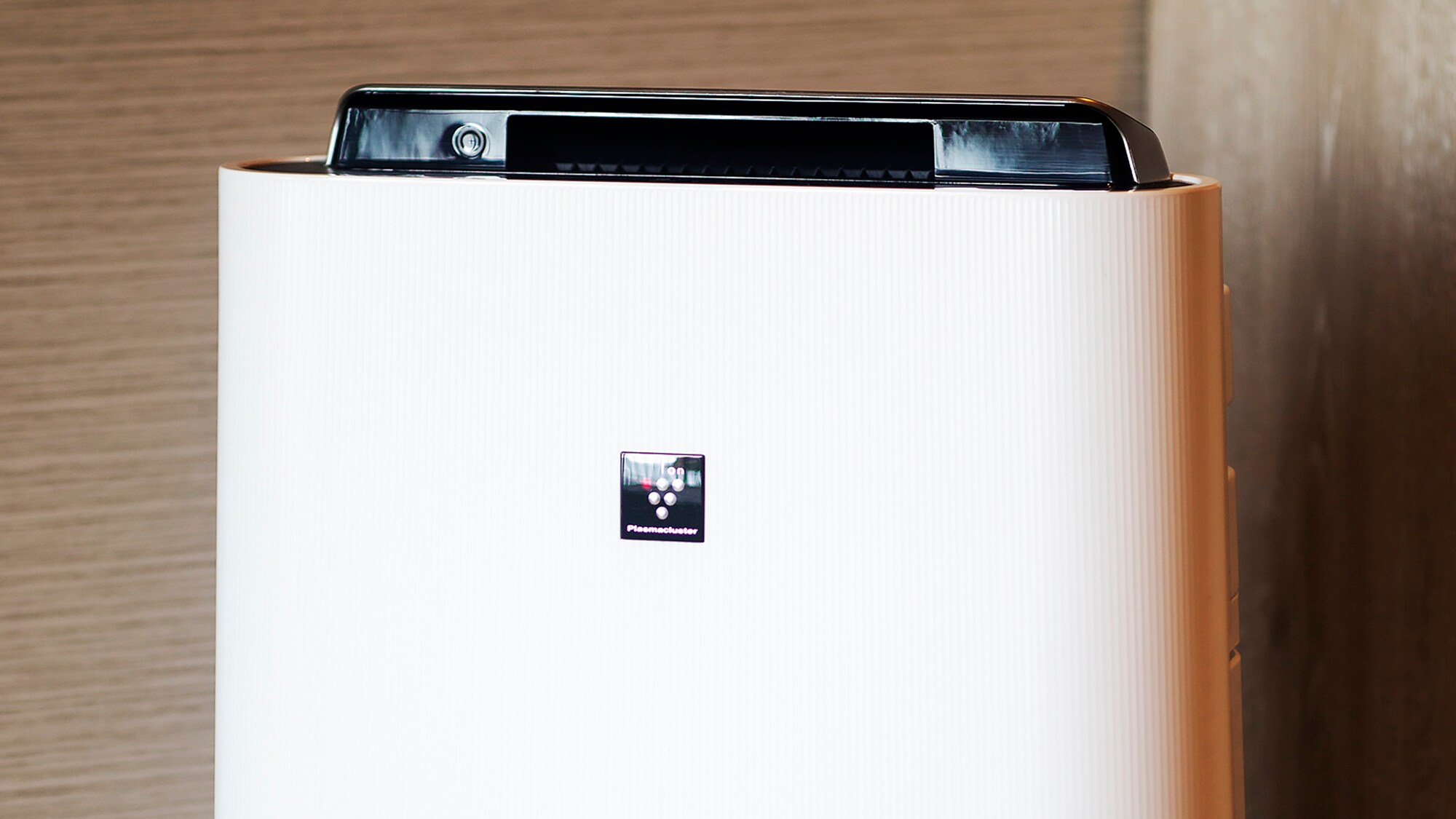 [Guest room amenities]