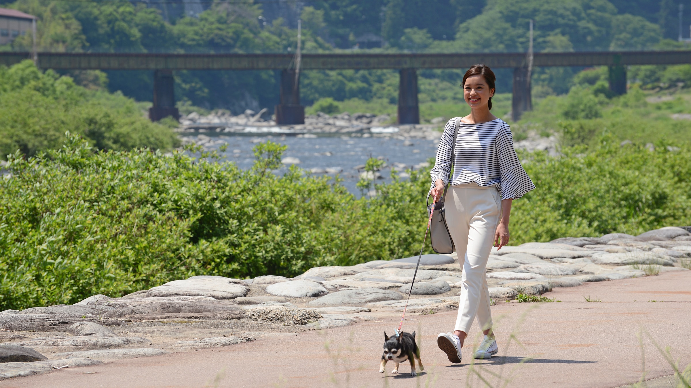 ◆A walk with a dog in the surrounding area