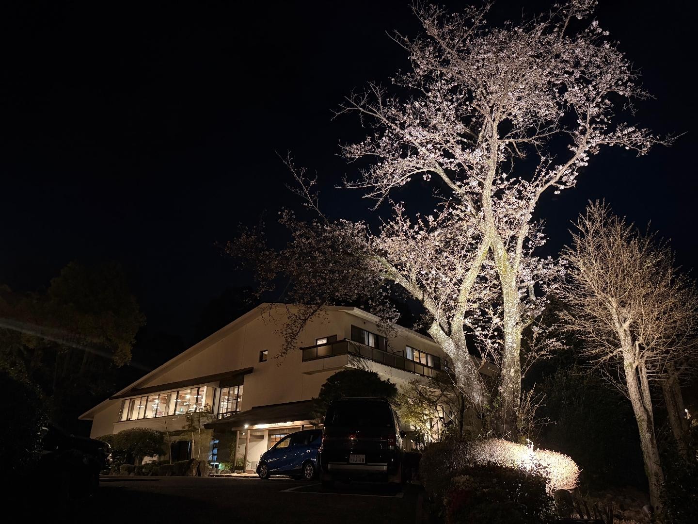 1EA00E76-99FF-44EF-84B3-3D943AB37168.jpeg