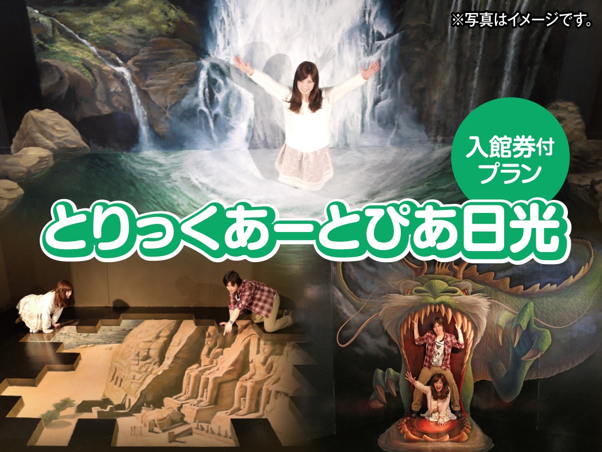 Plan with Trick Art Pia Nikko admission ticket