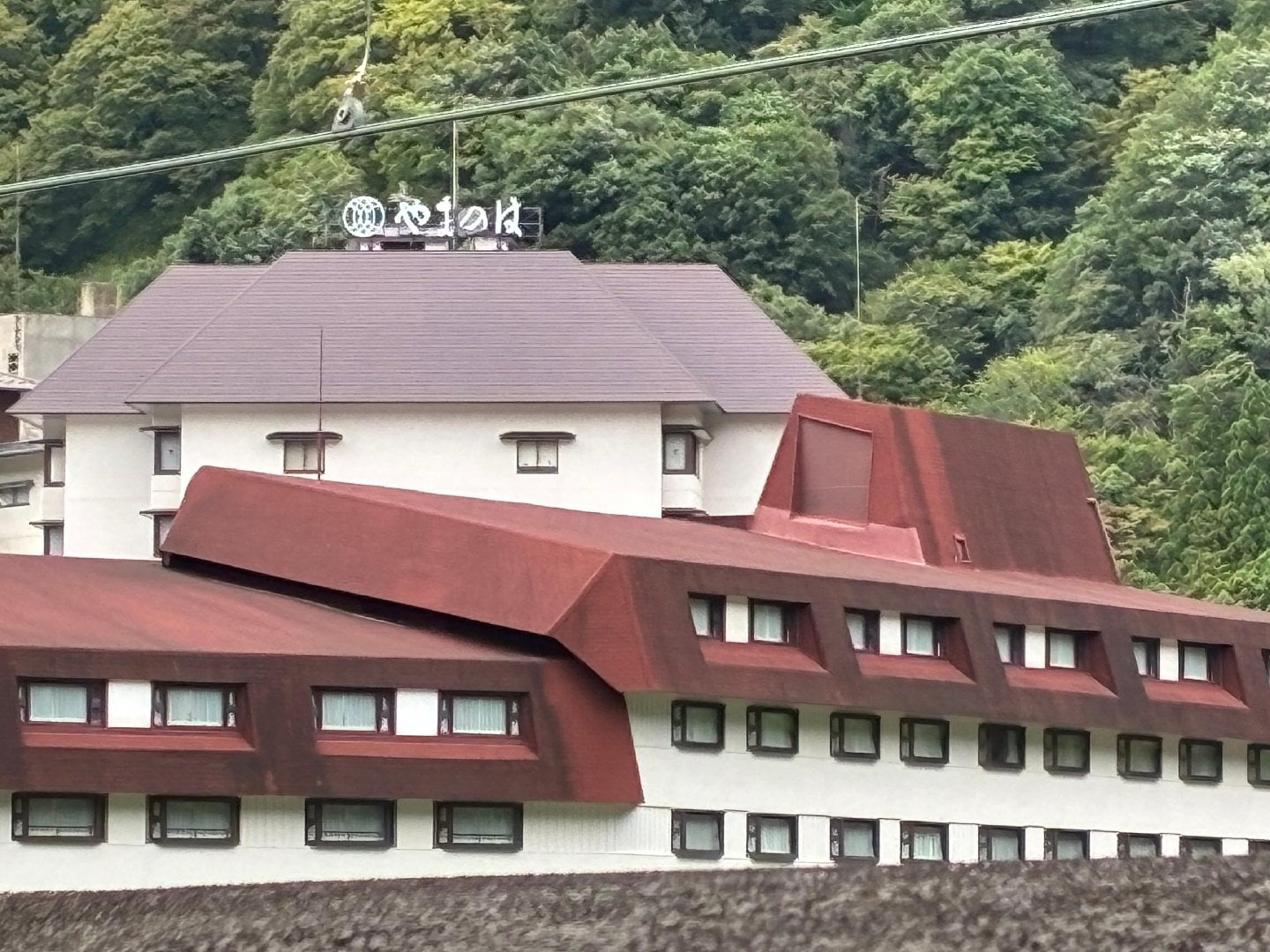 IMG_8356.jpeg