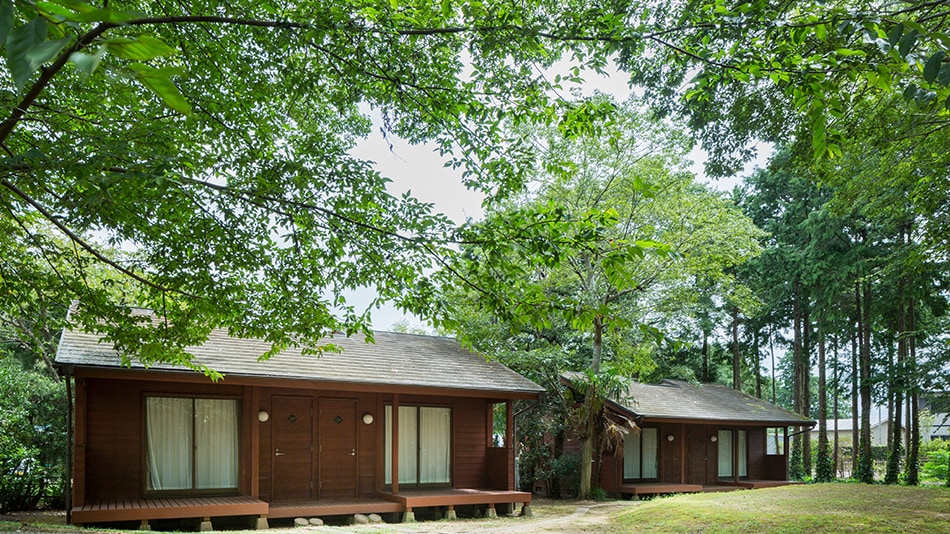 Woody Cottage - Exterior