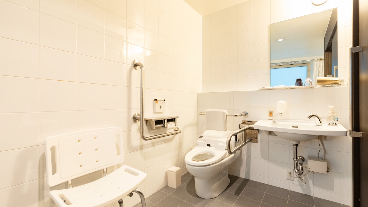 โถสุขภัณฑ์คู่อเนกประสงค์