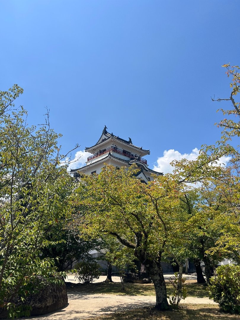 IMG_7116.jpeg