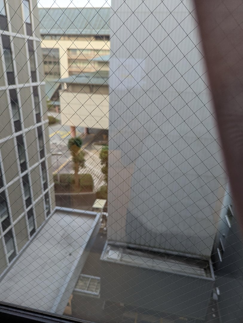 1000008271.jpg