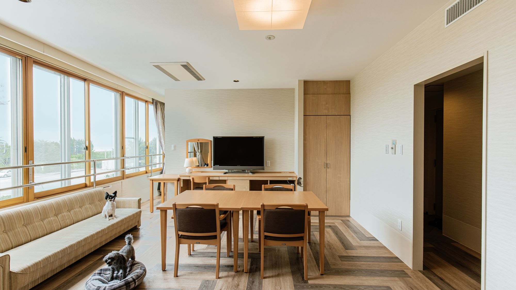 Pet-friendly twin room (with sofa bed) [40 square meters]