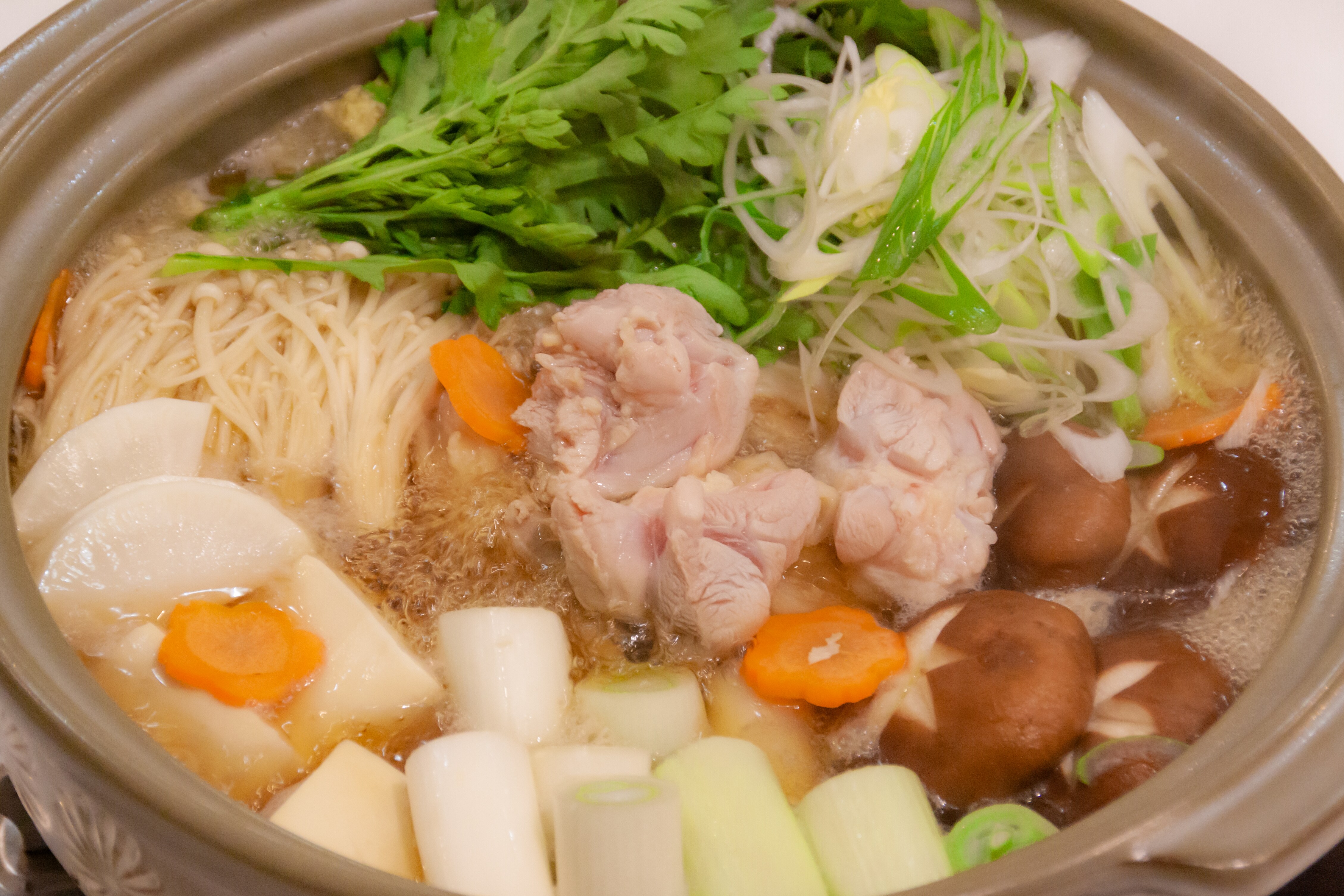 Iwatsu green onion and Tajima chicken udon noodles