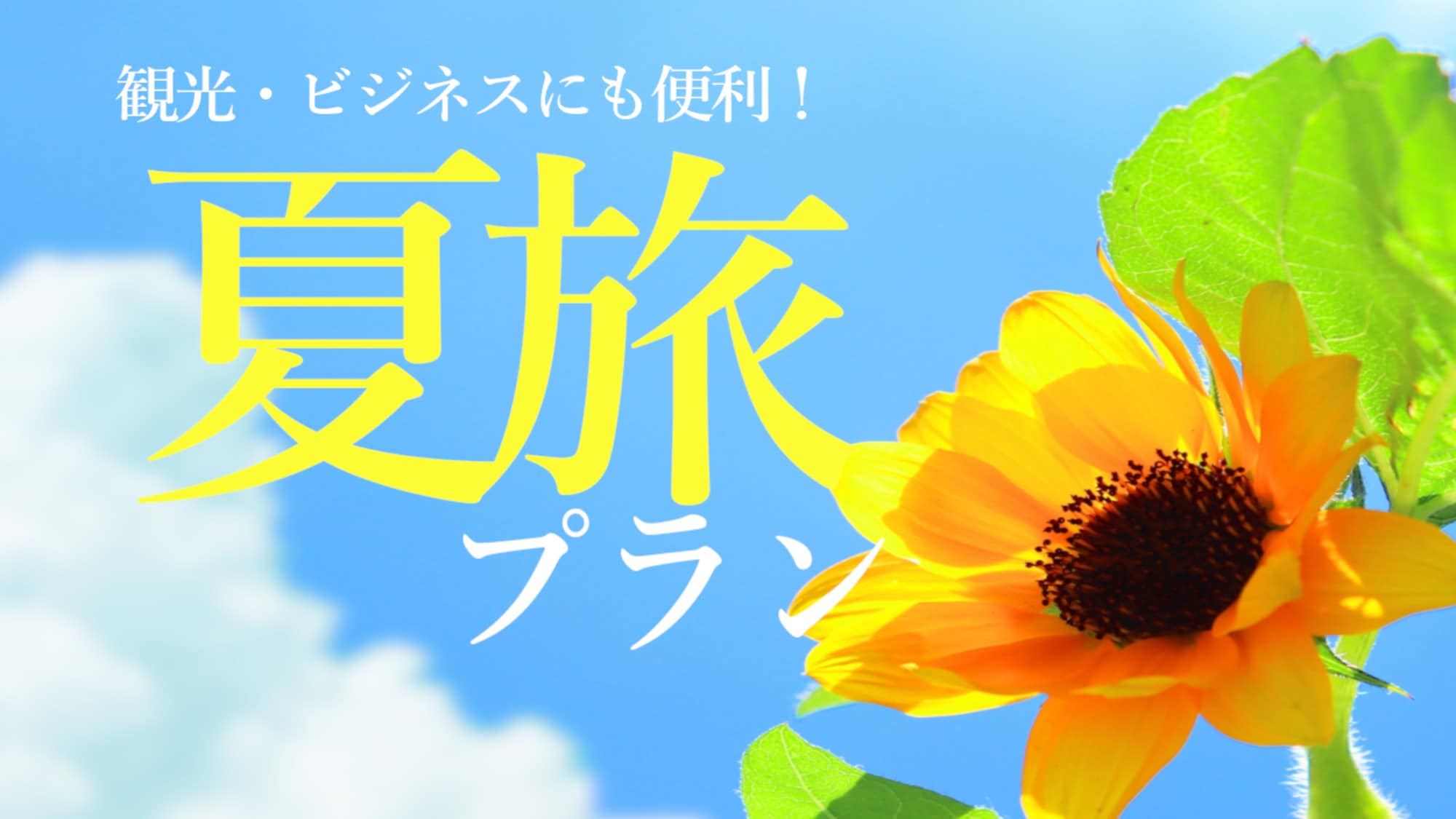 Summer Trip
