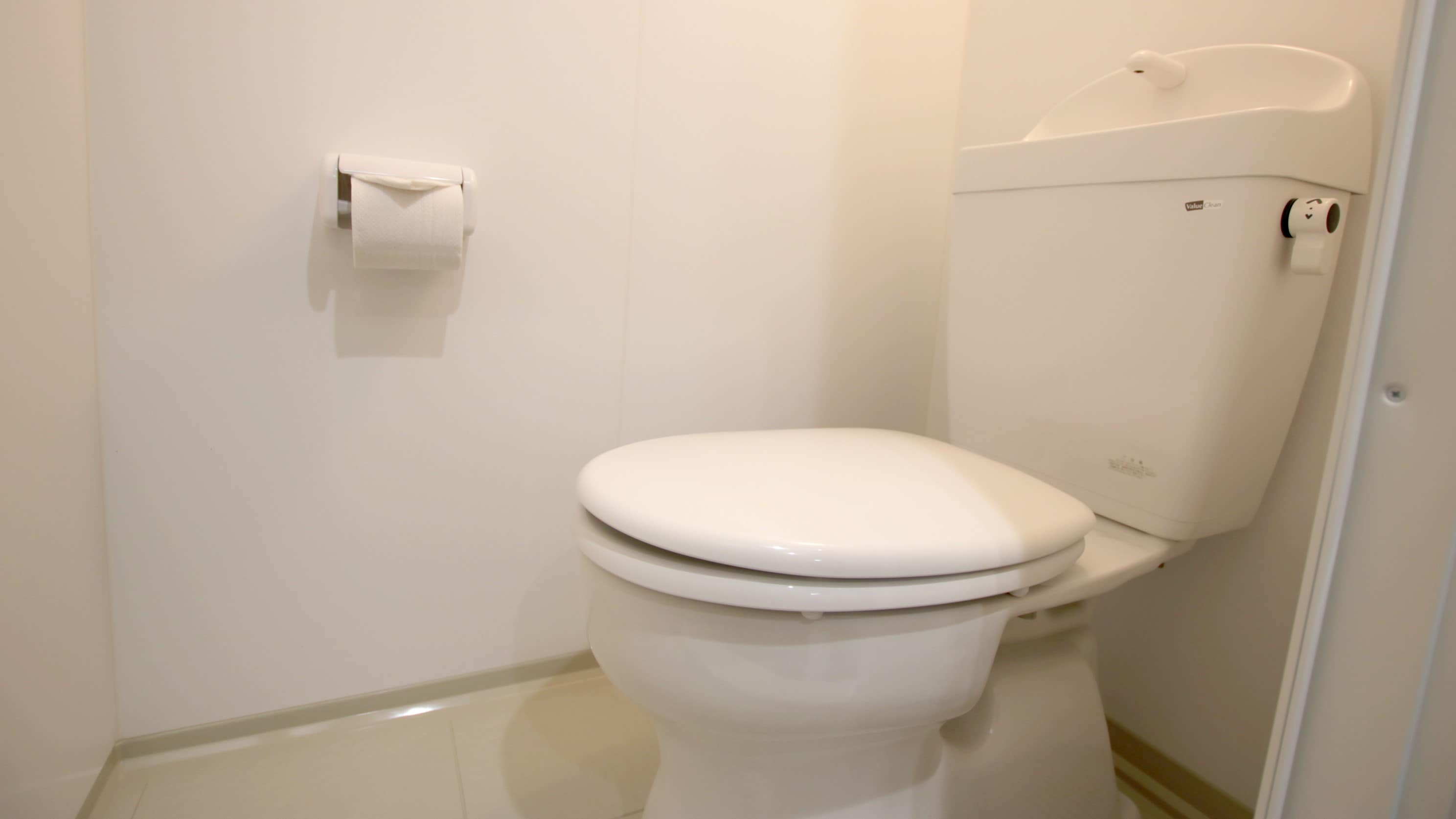 Separate bathroom and toilet