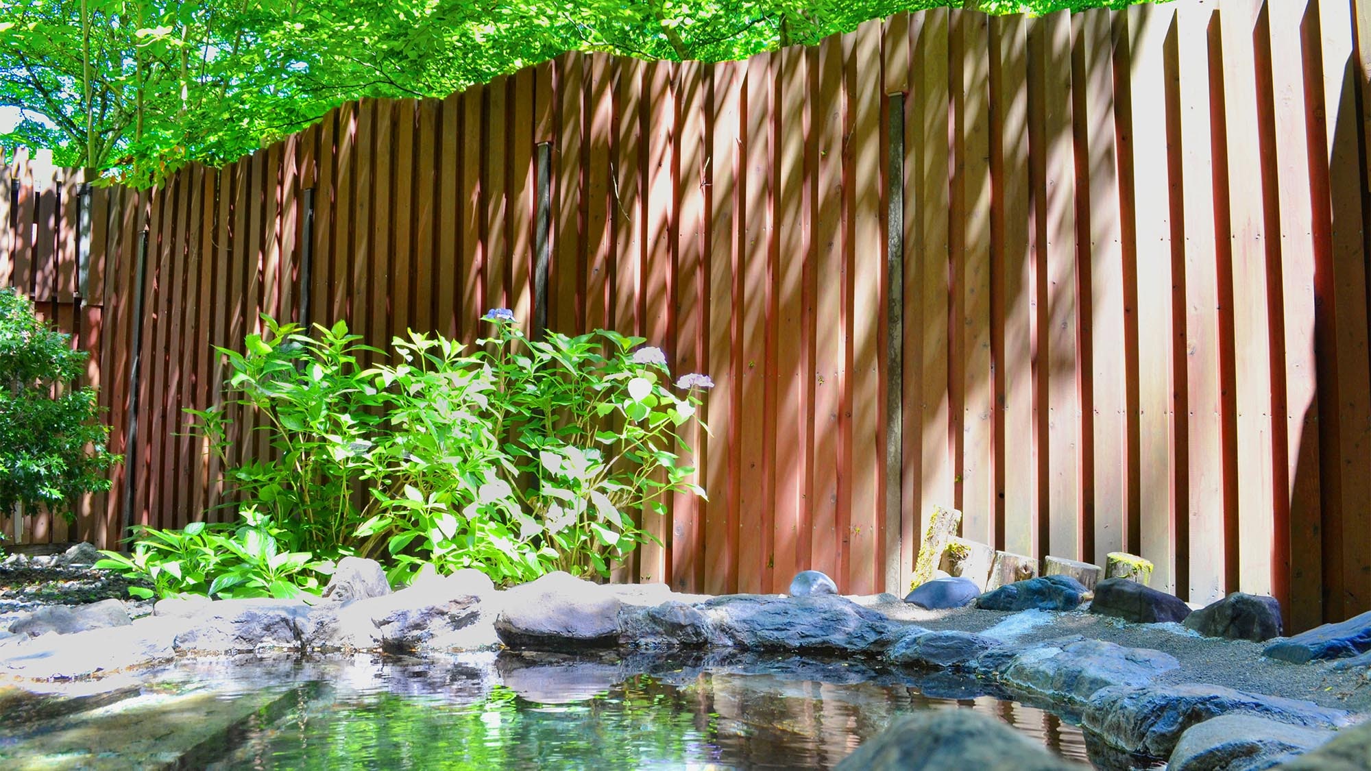 ・[Women's open-air bath] Relax in the natural hot springs and greenery of the trees.
