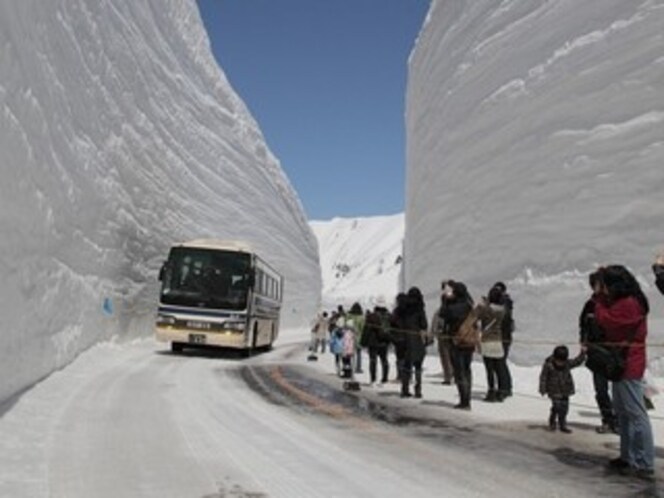 雪的大谷