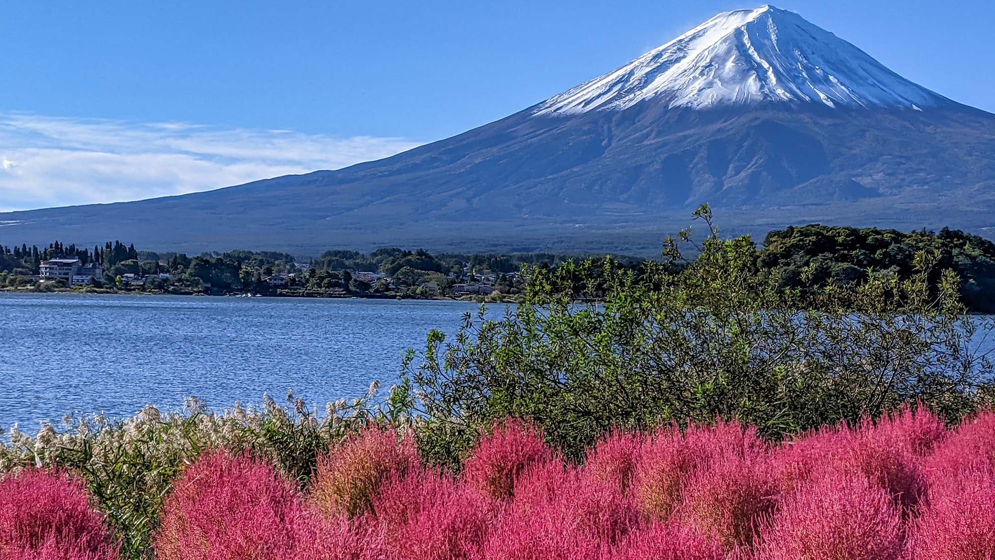 ・Mt.Fuji and Lake Kawaguchi show different faces depending on the season.