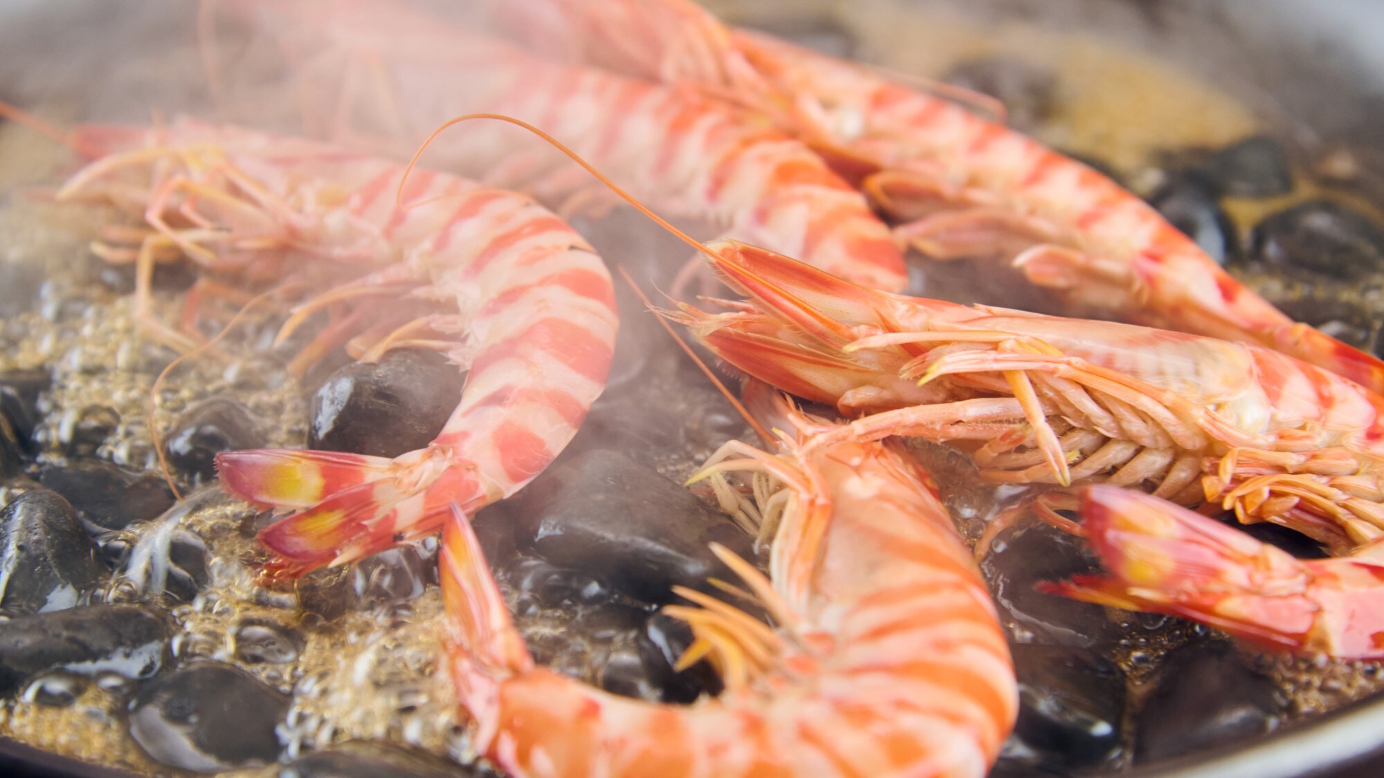 Meal example (prawn)