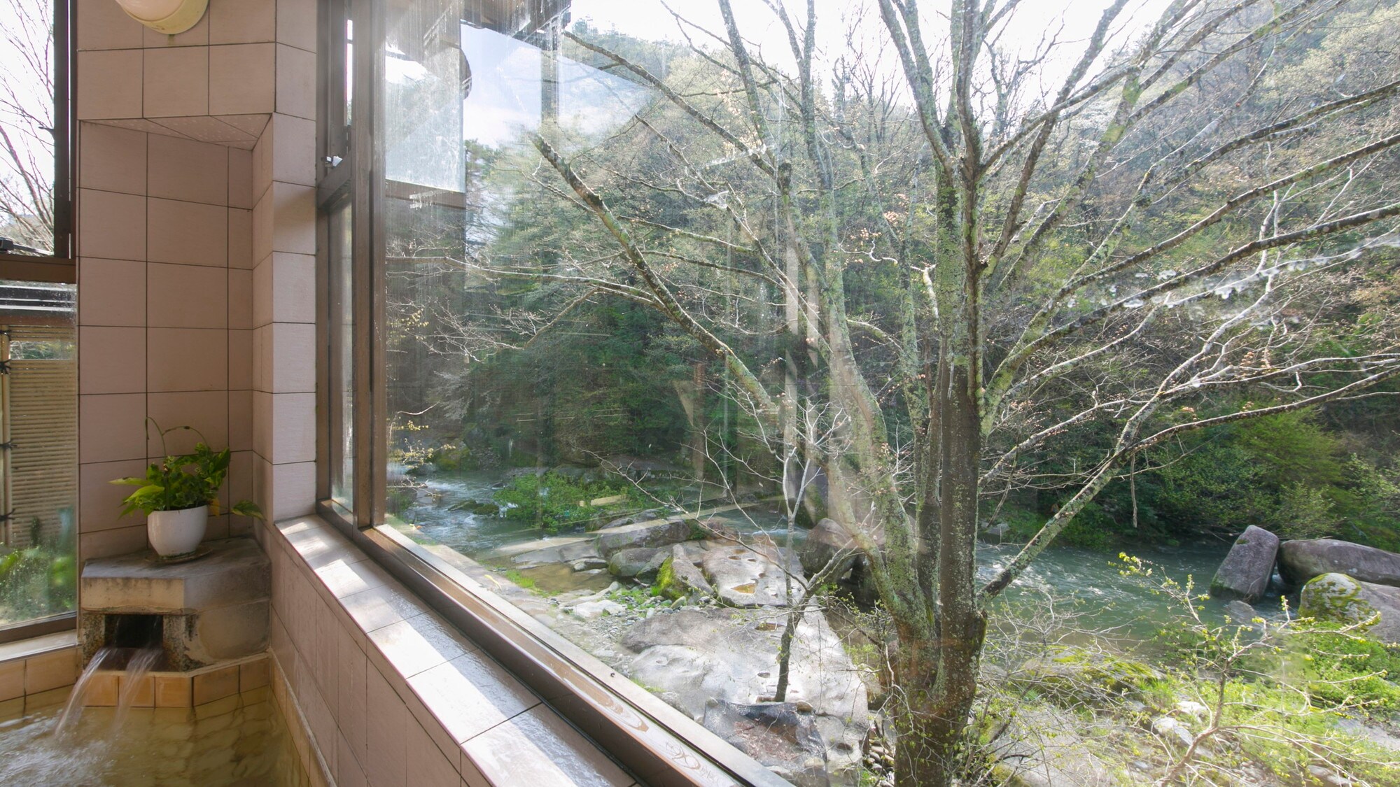 從浴池可以看到旅館前面流淌的河流。