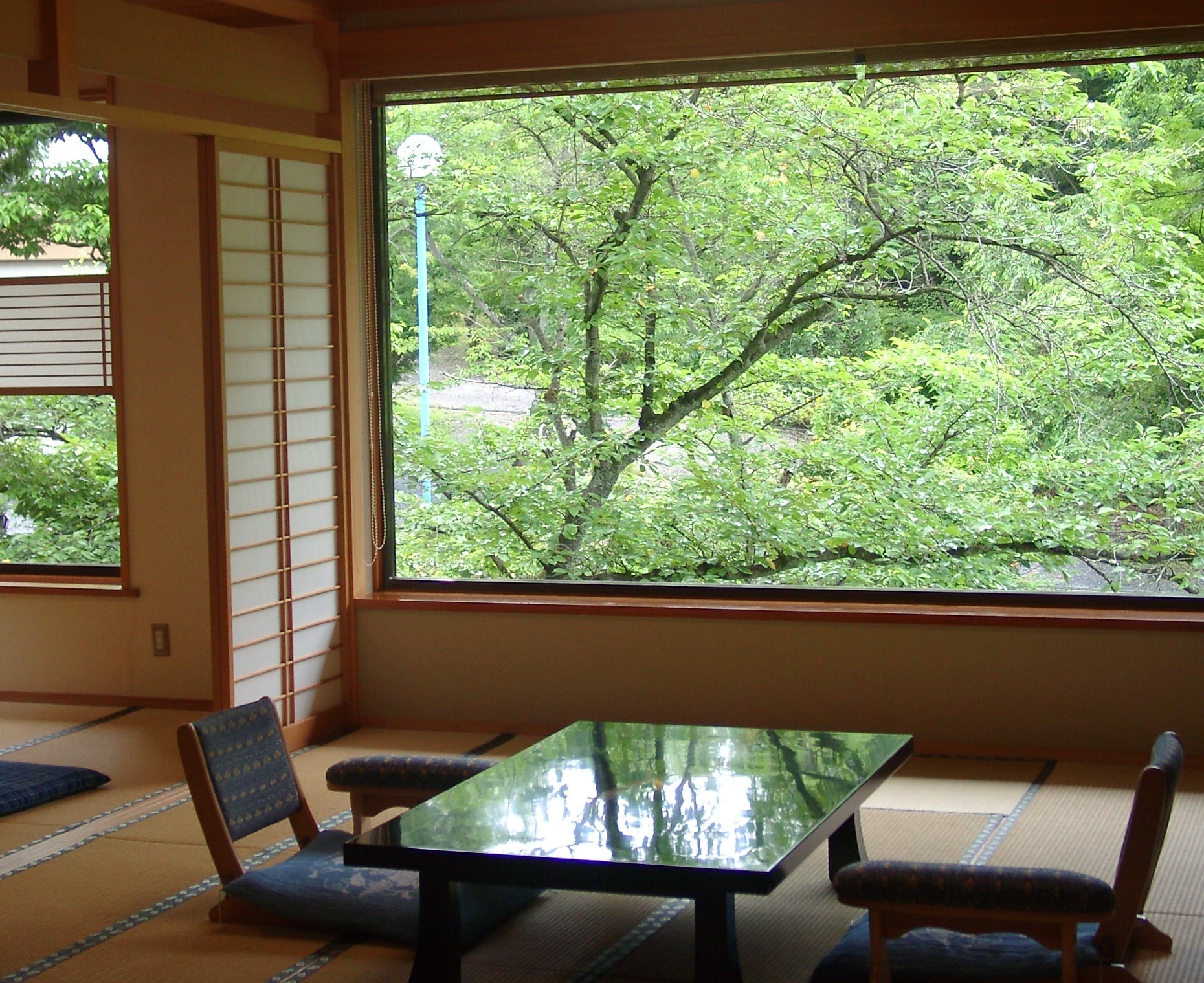 Annex: Four Seasons Landscape, Fresh Green Scenery