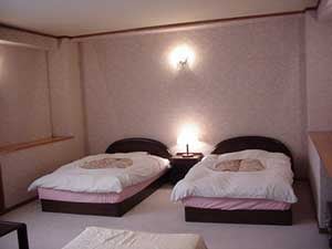 Western-style room example