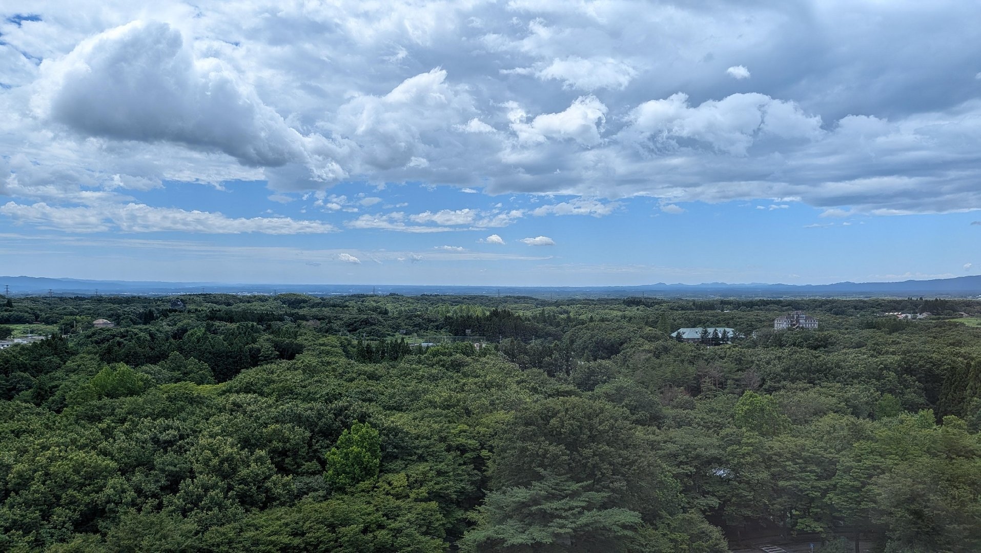 8469.jpg