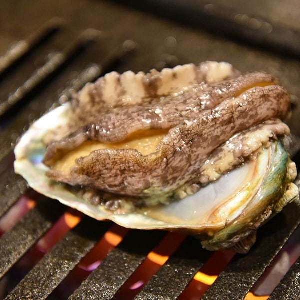 Grilled abalone (square)