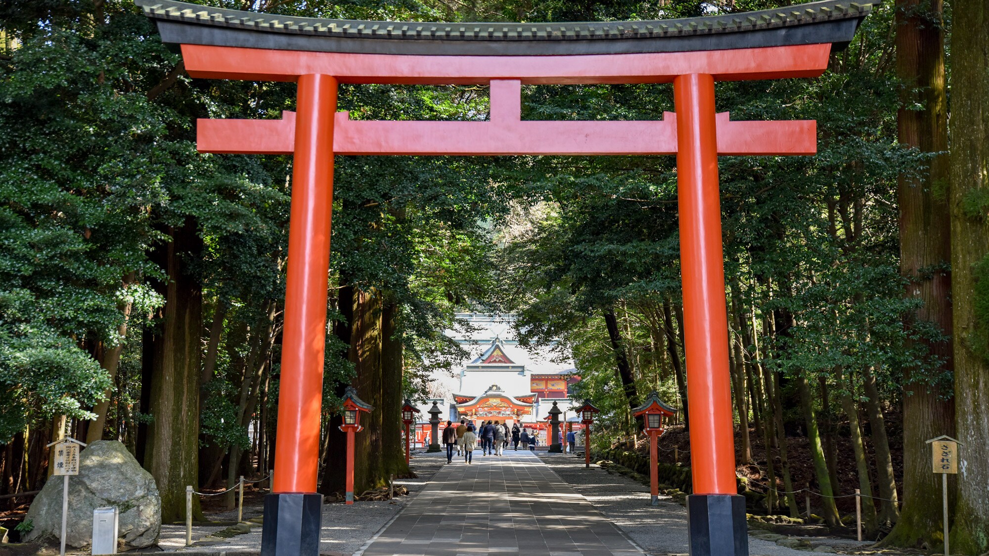 * [Kirishima Jingu] Go to Kirishima Jingu. It is a famous power spot that gives you a gentle luck.