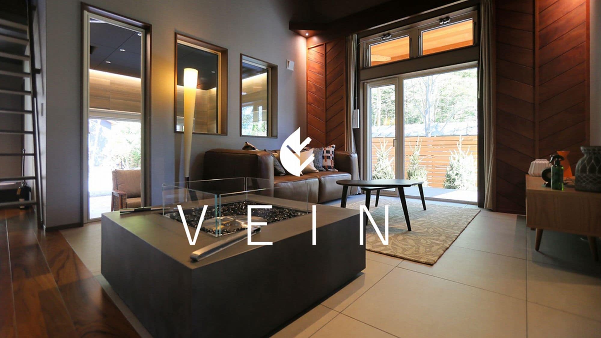 VEIN *Room image