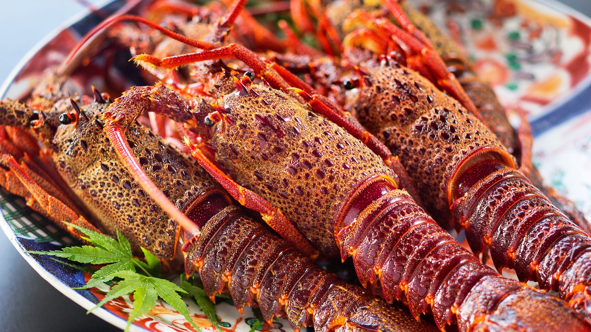 spiny lobster