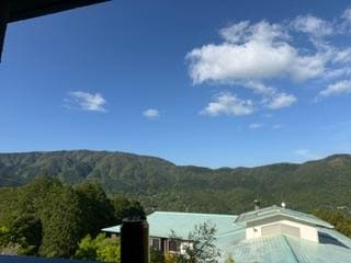IMG_4447.jpeg