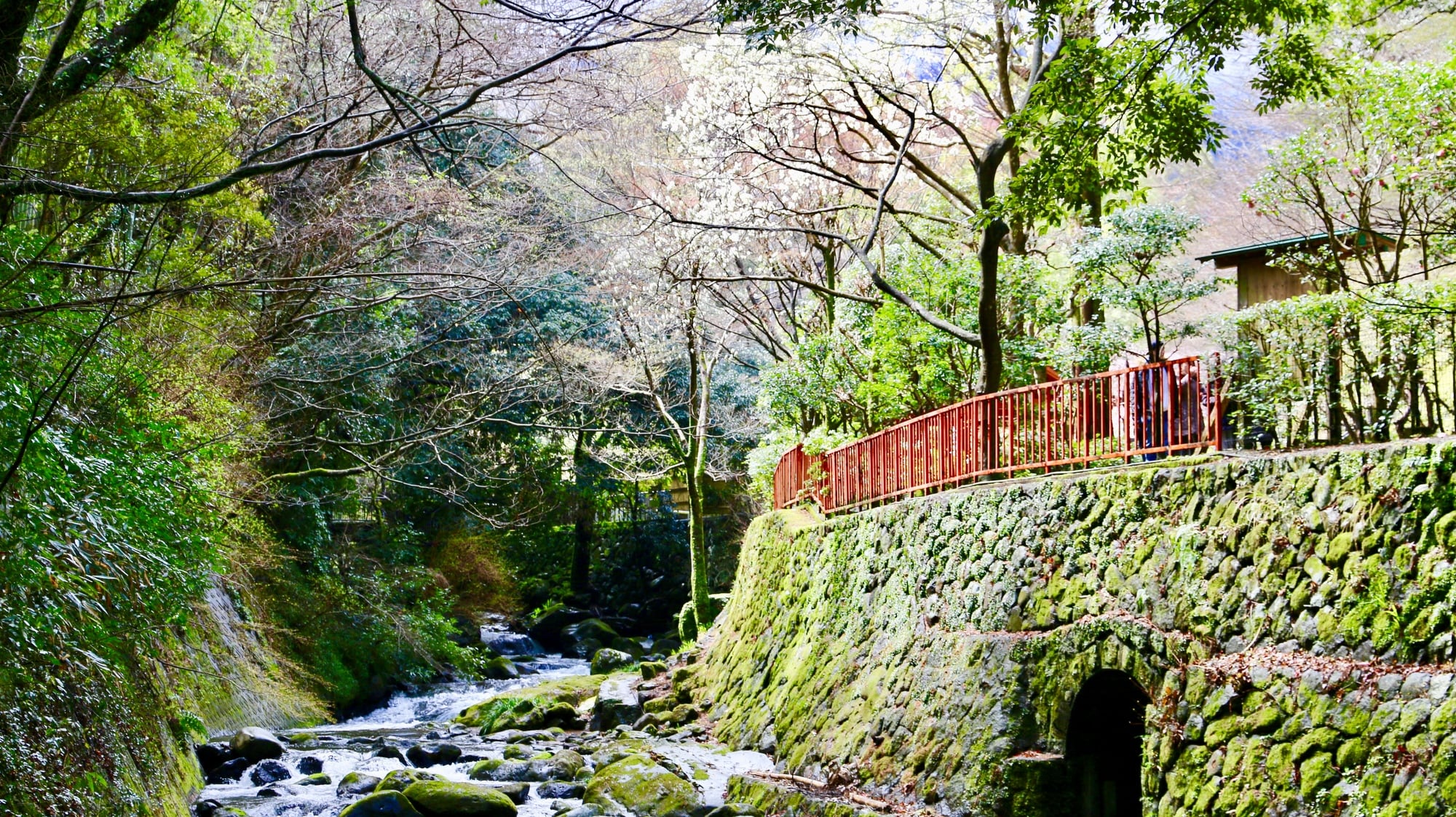 汤河原的热门旅游景点万叶公园