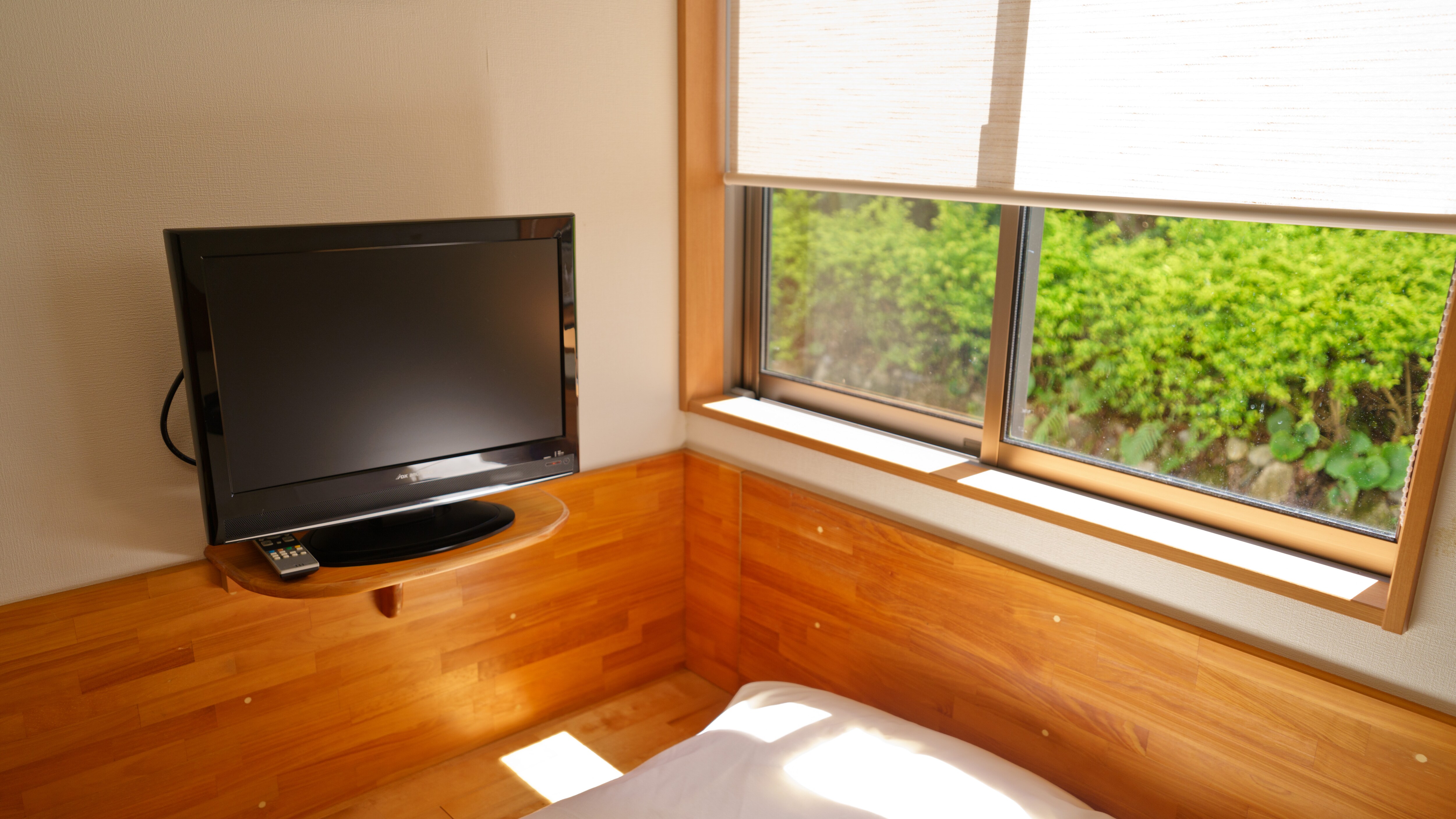 Single room 1