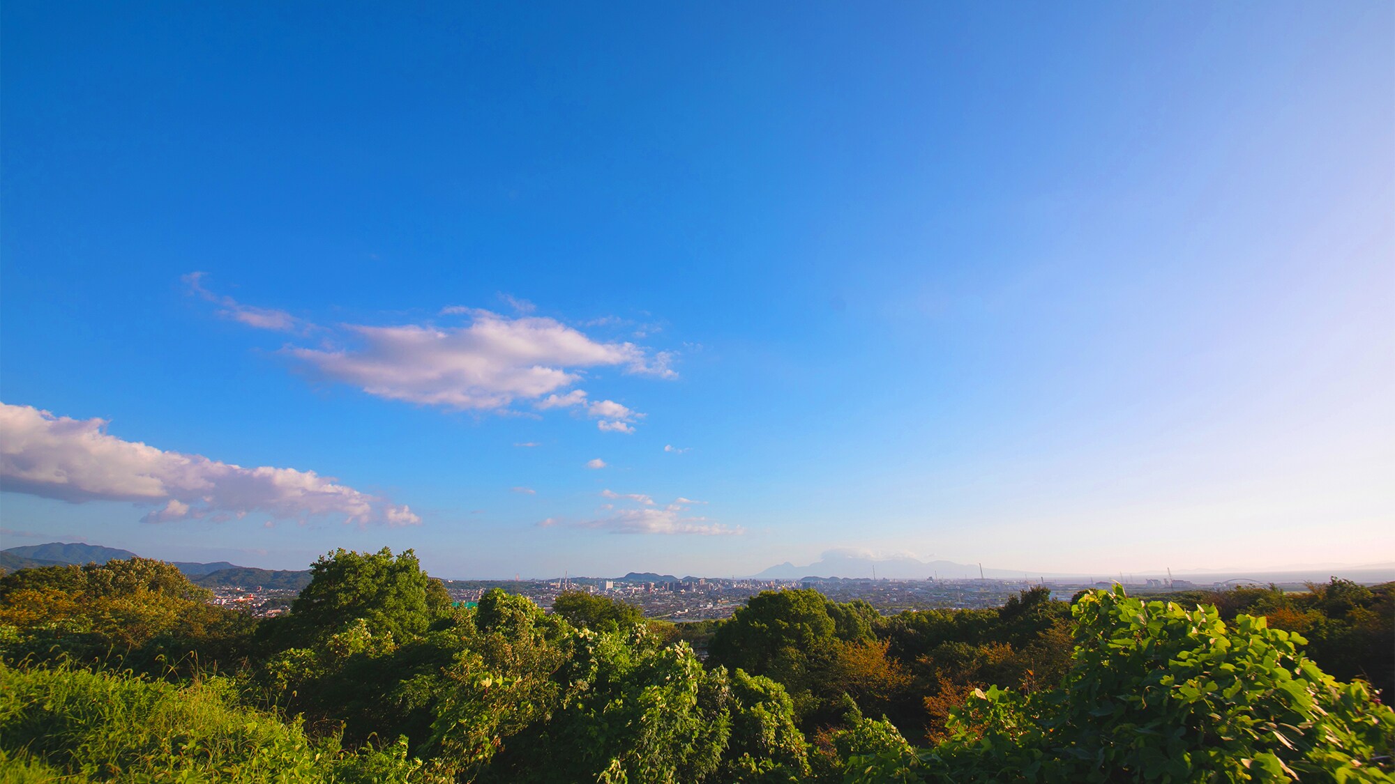 Daytime from the garden (1)