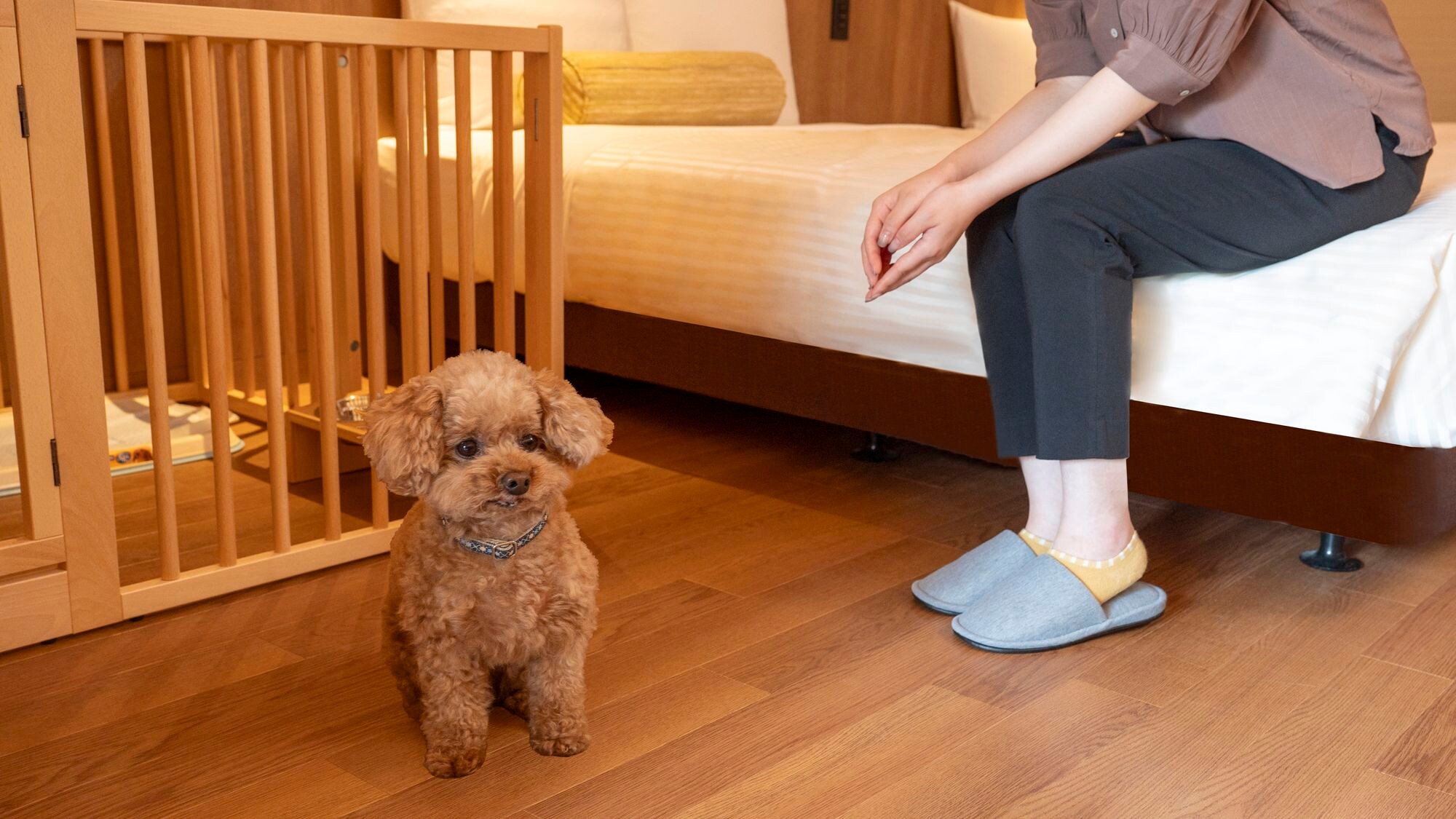 Dog-friendly room (twin room with open-air bath)