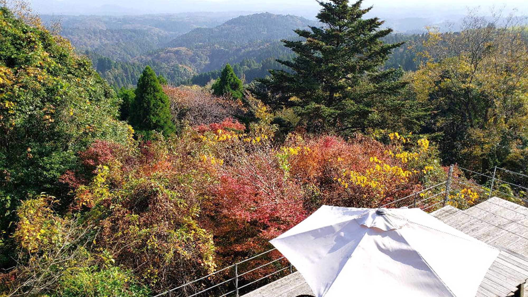 ・ You can enjoy the scenery of each season