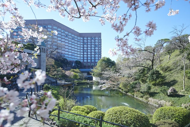 Bunga sakura musim semi dan Hotel Chinzanso Tokyo